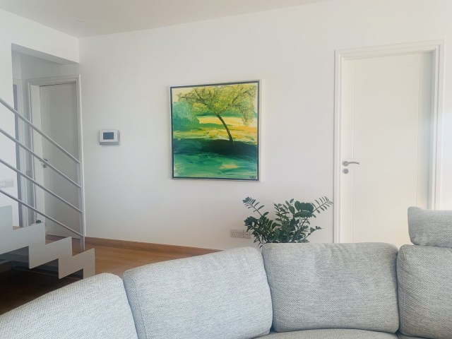 viber_image_2023-01-30_15-11-30-991